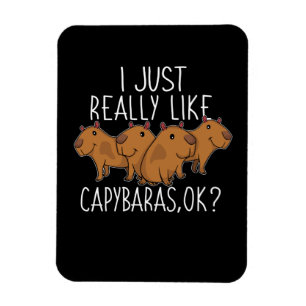 Ímã Capybara Gift Kids Women Cute Capybara