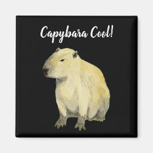 Imã Capybara Legal