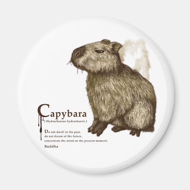 Imã capybara - sepia (Frente)