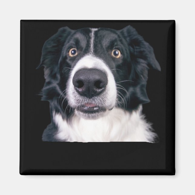 Imã Cara de Cachorro Preto e Branco (Frente)