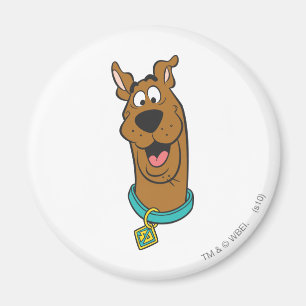 Imã Cara de sorriso de Scooby-Doo