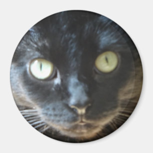 Imã Cara do gato preto