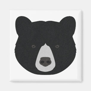Imã Cara do urso preto