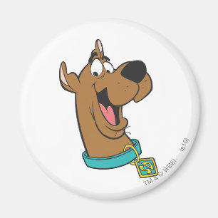Imã Cara feliz de Scooby-Doo