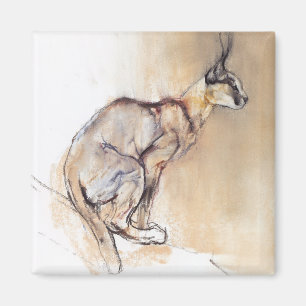 Imã Caracal assentado 2009