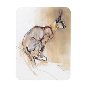Ímã Caracal assentado 2009