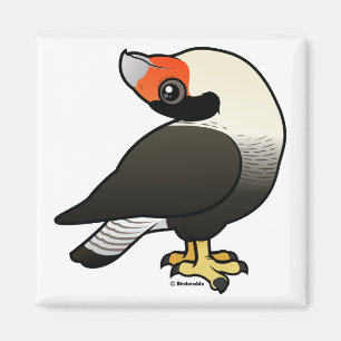 Imã Caracara Display