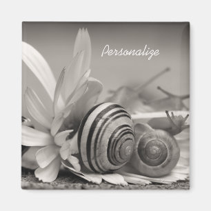 Imã Caracóis de jardim na flor da margarida com nome