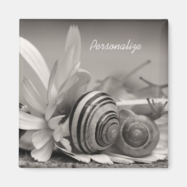 Imã Caracóis De Jardim Na Flor De Margarida Com Nome (Frente)