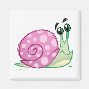 Imã Caracol