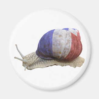 Imã Caracol-de-bandeira francês