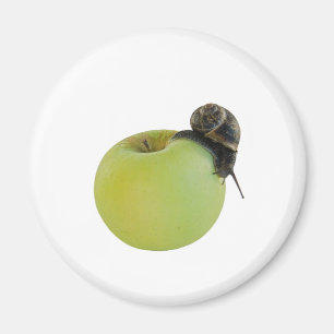 Imã Caracol e maçã