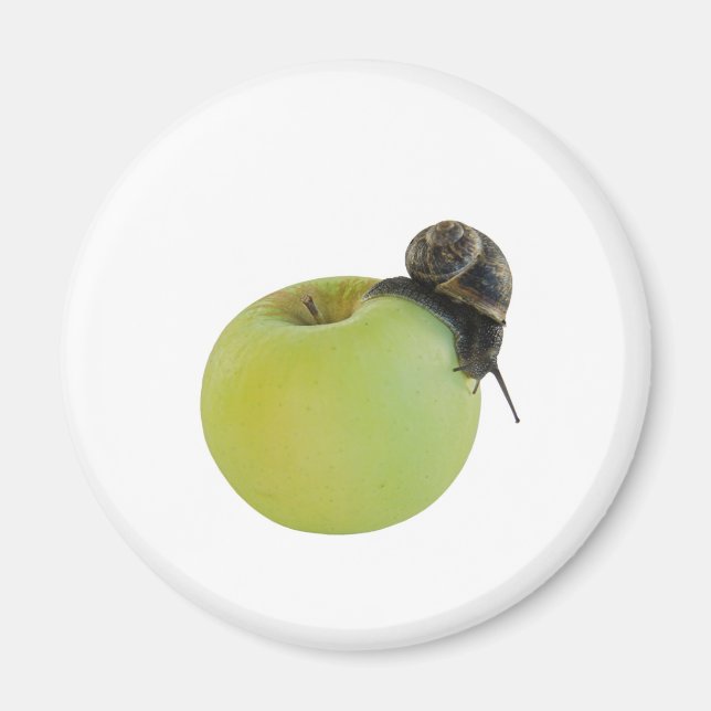 Imã Caracol e maçã (Frente)