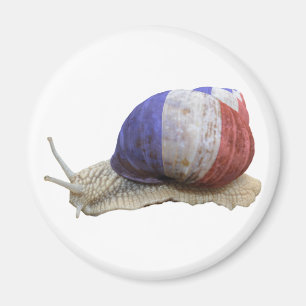 Imã Caracol francês da bandeira