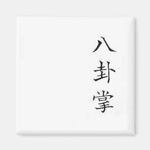 Imã Caracteres Kanji Texto Chinês Baguazhang