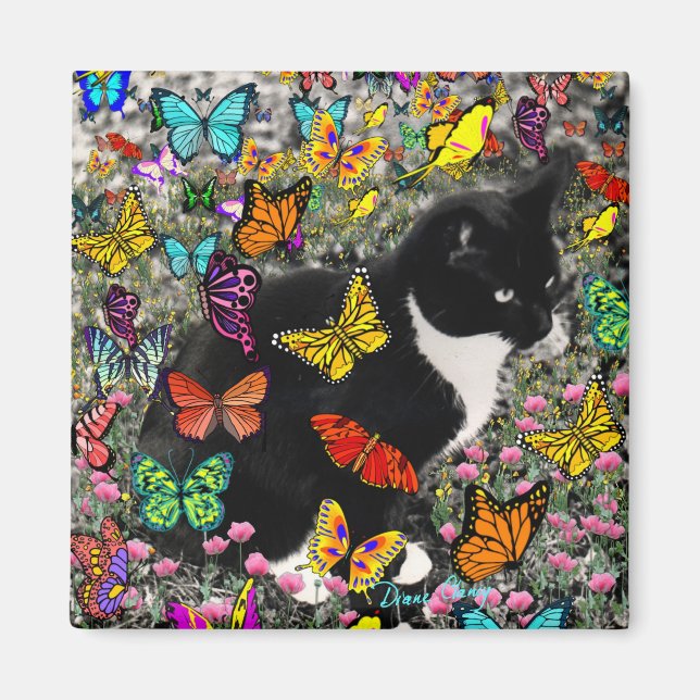 Imã Caramujos em borboletas - Gatinho Tuxedo (Frente)