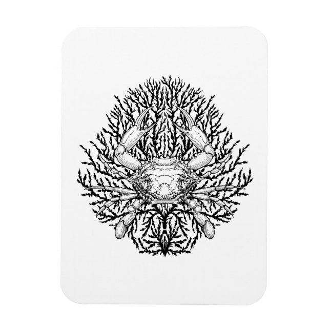 Ímã Caranguejo (Vertical)