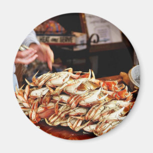 Imã Caranguejo de Dungeness no cais de Fishermans em