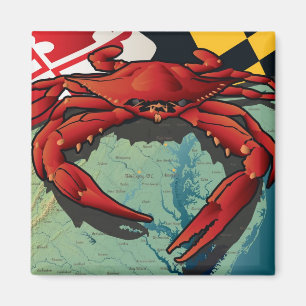 Imã Caranguejo do cidadão de Maryland