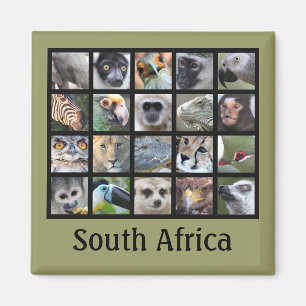 Imã Caras do animal selvagem -- Mamíferos, répteis,