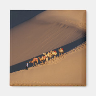 Imã Caravana de camelos no deserto, Dunhuang, Gansu