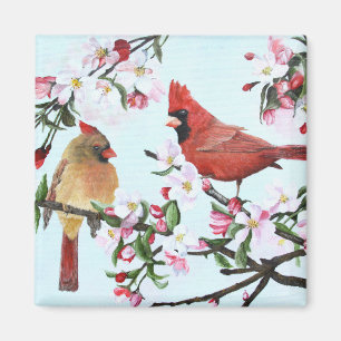 Imã Cardeais e flores de Apple