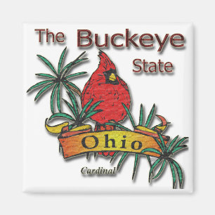 Imã Cardeal do Buckeye de Ohio
