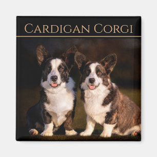 Imã Cardigan Welsh Corgi