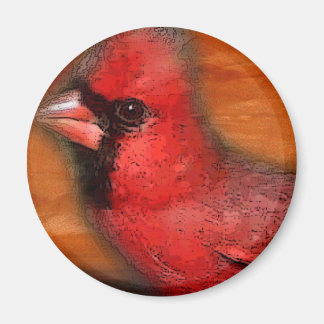 Imã cardinal