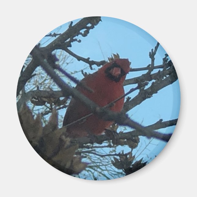 Imã Cardinal (Frente)