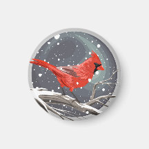 Cardinal de Inverno