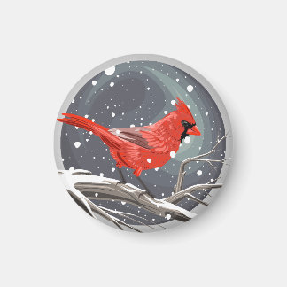 Imã Cardinal de Inverno