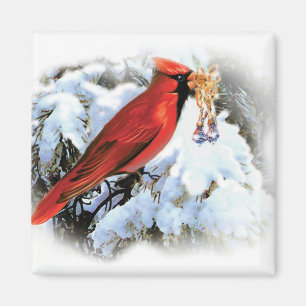 Imã Cardinal de Vintage em Inverno