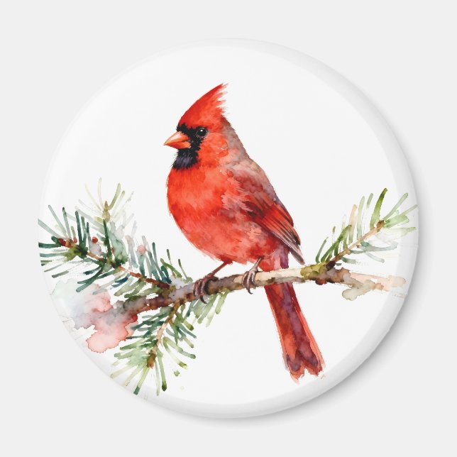 Imã Cardinal em um Ramo de Abeto (Frente)