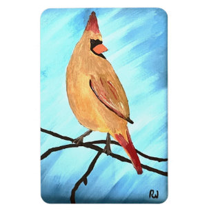 Ímã Cardinal feminino