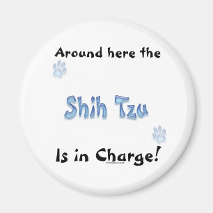 Imã Carga de Shih Tzu - ímã