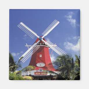Imã Caribe, Aruba. Old Mill, convertido em 'Mill'