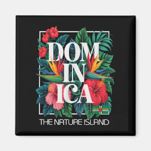 Imã Caribe da Ilha Dominica Vacation West Indies