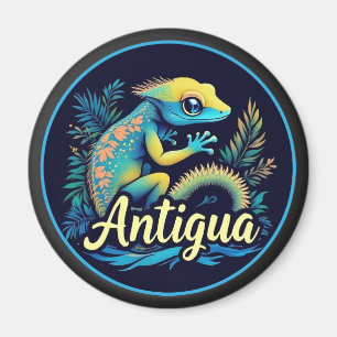 Imã Caribe de Antígua Gecko