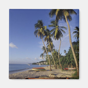 Imã CARIBE, Granada, Rua, George, boates na palma