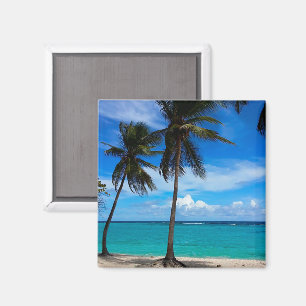 Imã Caribe Guadalupe de Viagem de Praia da Família