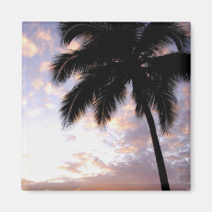 Imã Caribe, Ilhas Virgens Americanas, Rua. Thomas, 3