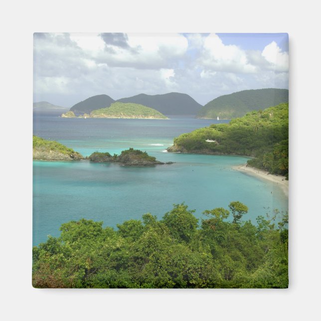 Imã Caribe, Ilhas Virgens Americanas, St. John, Tronco (Frente)
