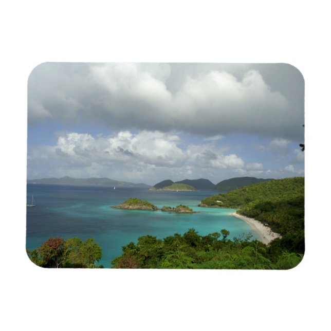 Ímã Caribe, Ilhas Virgens Americanas, St. John, Tronco (Horizontal)