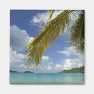 Imã Caribe, Ilhas Virgens Americanas, St.Thomas,