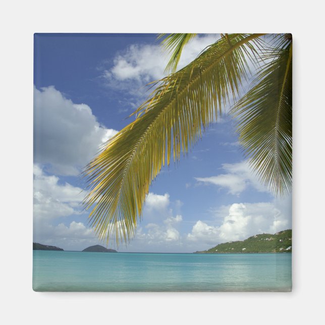 Imã Caribe, Ilhas Virgens Americanas, St.Thomas, (Frente)