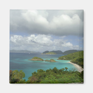 Imã Caribe, Ilhas Virgens dos EUA, St. John, Tronco 3