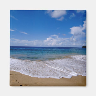 Imã Caribe, Pequenas Antilhas, Índias Ocidentais, 4