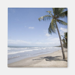 Imã Caribe - Trinidade - praia de Manzanilla em 2