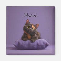 Caricatura Tortoisesinferno Kitten em Púrpura